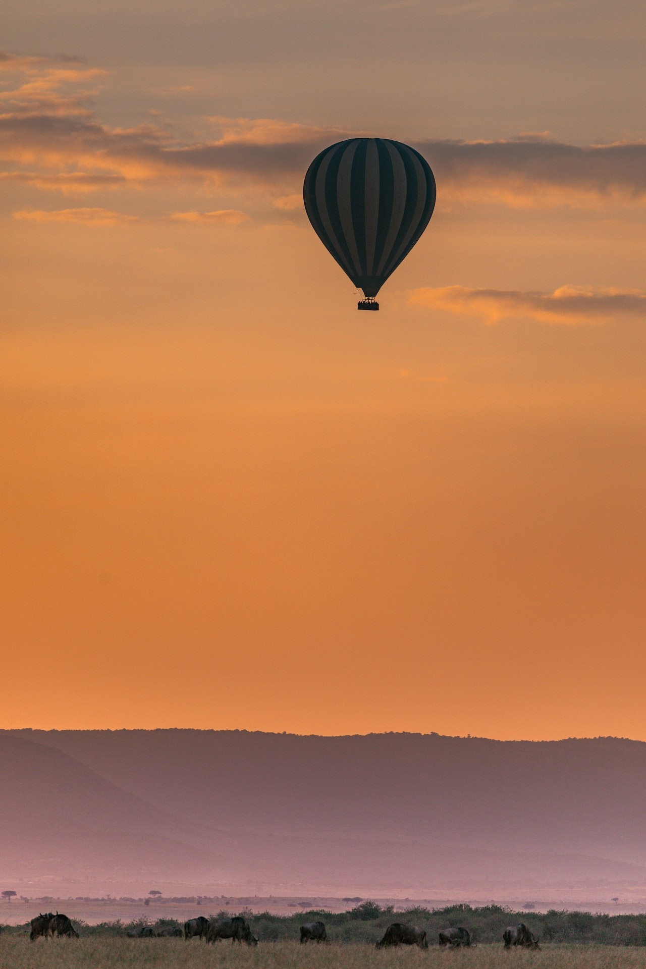 Escaping the Crowds on a Tanzanian Safari