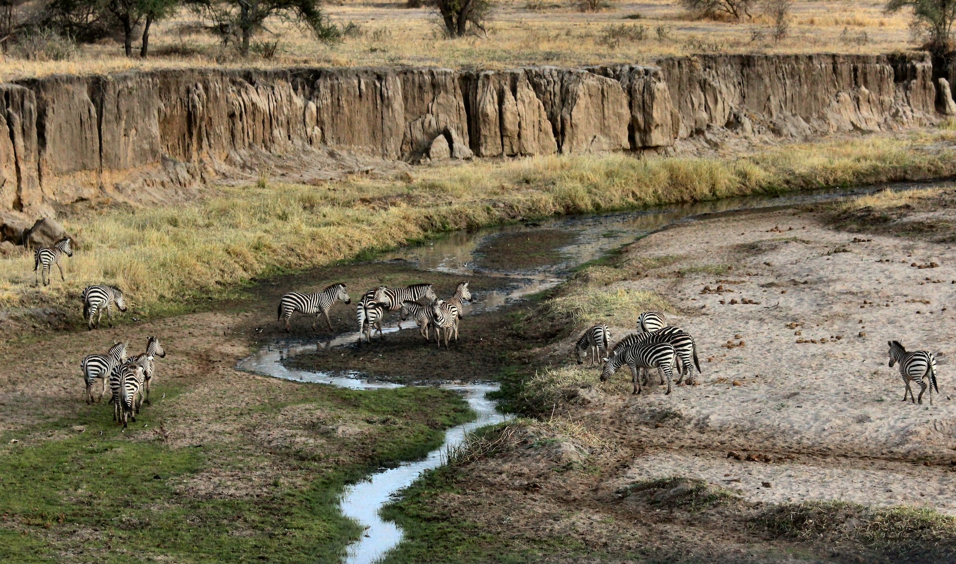Tarangire Ngorongoro Serengeti