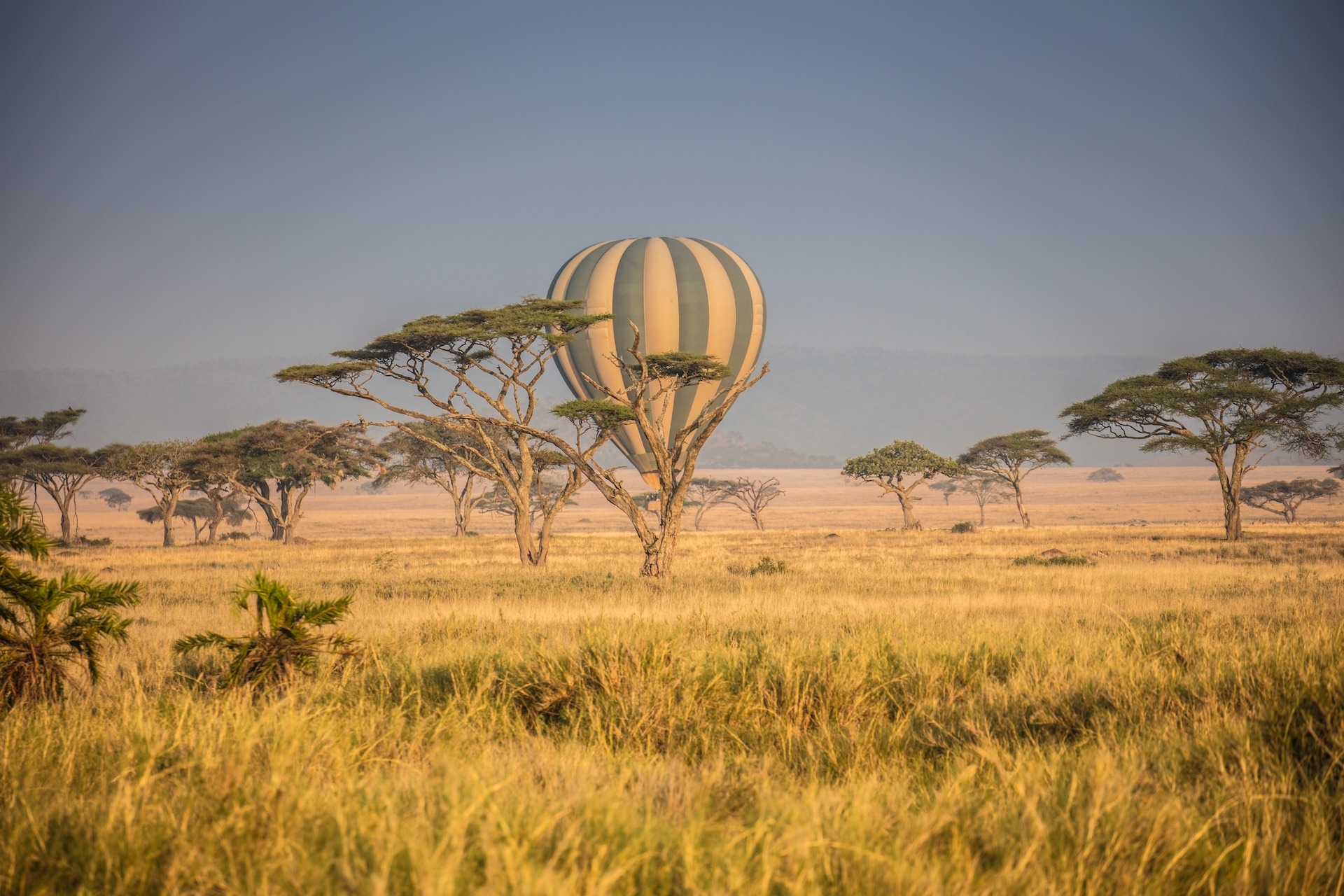 Serengeti & Ngorongoro (Balloon Experience)